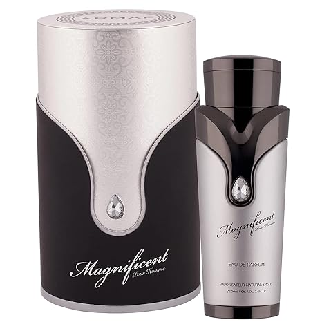 Magnificent Pour Homme Armaf (100ML)