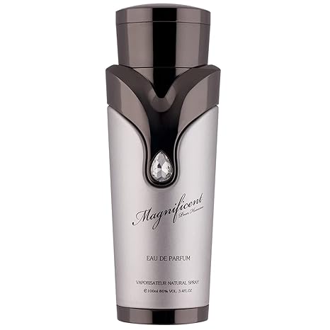 Magnificent Pour Homme Armaf (100ML)